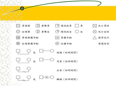 家庭關係圖|家系圖模板